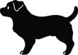 Simple and cute silhouette of Jack Russell Terrier in side view with details
