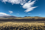 Fototapeta  - The Provincial Reserve La Payunia (Reserva La Payunia) Malargue, Mendoza, Argentina