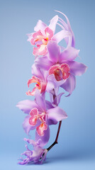 Canvas Print - pink orchid on blue background