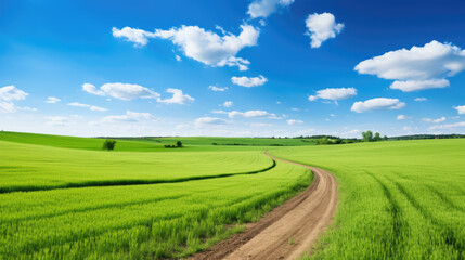 Poster - Serene rural landscape with a vibrant green wheat field under a clear blue sky with fluffy white clouds