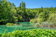 Seelandschaft im Nationalpark Plitvicer Seen mit Wasserpflanzen im Vordergrund und einem Wasserfall im Hintergrund umgeben von Büschen und Bäumen