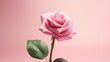 © Thanaphon - Pink rose background with copy space.