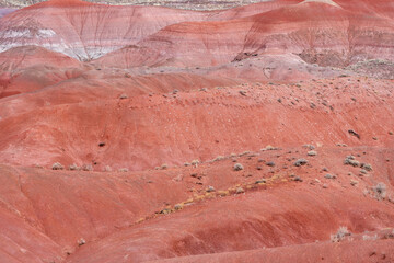 Wall Mural - Beautiful view of the painted desert area of Petrified Forest National Park Arizona