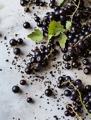 Wall Mural - A spill of blackcurrants on a marble surface, with some berries rolling away.