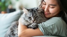 Close Up Of Gentle Young Asian Woman Hugging Cute Grey Persian Cat On Couch In Living Room At Home, Adorable Domestic Pet Concept, With Copy Space For Text.