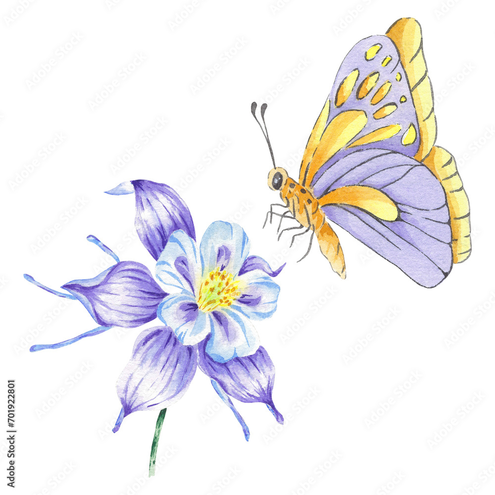 Watercolor purple butterfly and butterfly isolated on white background ...