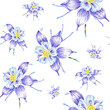 Watercolor seamless pattern purple flower anemone hand drawn in botanical style. Art print for wallpaper, textile, wrapping paper, scrapbooking design