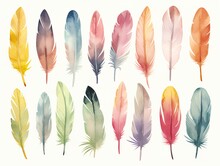 A Colorful Feathers On A White Background