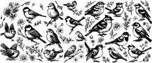 Bird Hand Drawn Set In Vintage Style With Flowers. Spring Birds Sitting On Blossom Branches. Linear Engraved Art.