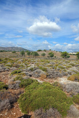 Poster - Landschaft bei Charaki auf Rhodos