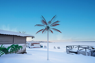Wall Mural - Snowy beach of a frozen body of water with beach equipment and artificial palm tree in drifts.