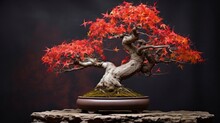 Red Bonsai Tree On A Dark Background Side View. Gardening In Autumn Concept. Asian Culture