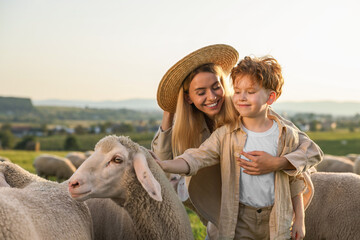 Poster - Mother and son stroking sheep on pasture. Farm animals