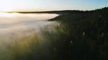 Aerial View Along Fog Covered Forest And Hills, Sunny Fall Morning In Lapland