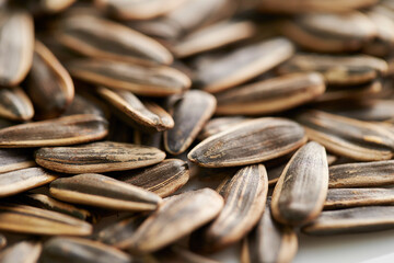 Canvas Print - sunflower seeds close up