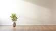 © Kyohei Kaneko - シンプルな部屋と観葉植物と日差し Simple room, green plants and sunshine