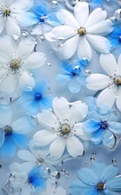 Close-up Photo Of Soft Blue And White Flower Backgrounds