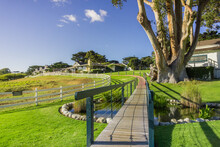 Path Going Over A Green Meadow; Restaurants In The Background, Carmel-by-the-Sea, Monterey Peninsula, California