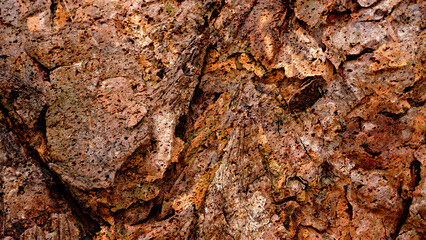 Wall Mural - Perfect stone image photographed with a macro lens