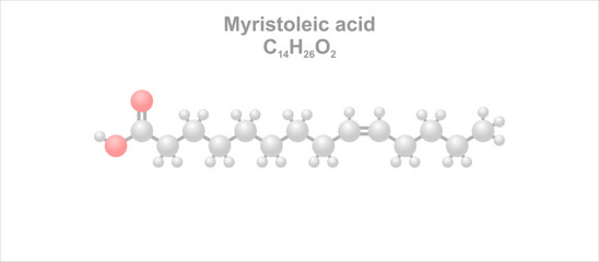 Wall Mural - Myristoleic acid. Simplified scheme of the molecule.