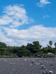 Canvas Print - 
It is a beach with black sand and forest.