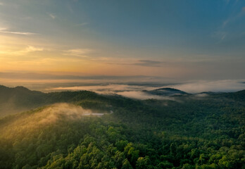 Wall Mural - beautiful green mountain landscape with morning sunrise sky and fog. aerial view of green trees in t