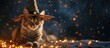 Halloween pumpkin jack o lantern and cute british cat in a wizard costume on a dark background Halloween cat in a witch hat and a mantle with stars. with copy space image
