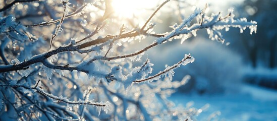 Poster - Frosted tree branches covered with ice and icicles on white snowy background Tallinn Estonia Selective focus blurred background. with copy space image. Place for adding text or design
