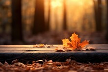 Autumn Background, Orange Maple Leaves And Wooden Plank At Sunset