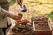 Spring gardening. Female gardener with shovel putting soil and compost into biodegradable peat pots. Planting and sowing in garden