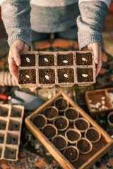 Sticker - Planting and sowing. Woman holding seedling tray with potted pumpkin seeds. Spring gardening