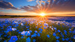 青い花の花畑と太陽と空の自然風景