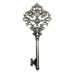 Wall Mural - antique key isolated on black