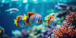 Regal angelfish displaying their striking stripes and vivid colors in a richly planted marine coral aquarium.