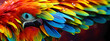 Nature's Palette: Raindrops on a Rainbow Parrot