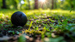 © AA - golf ball on the grass