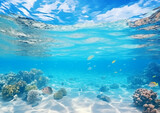 Fototapeta Do akwarium - 海中の珊瑚。AI生成画像