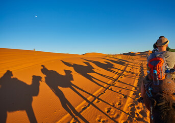 Wall Mural - desert safari adventure in morocco