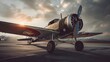 Vintage-Luftfahrt: Altes Flugzeug im nostalgischen Glanz