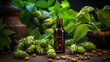 bottle, jar of hops essential oil extract,hop infusion.