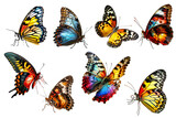 Fototapeta Motyle - Set of colorful beautiful butterfly boxes on transparent background PNG, easy to use and decorate projects.