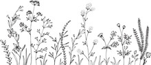 Wildflowers And Grasses With Various Insects. Fashion Sketch For Various Design Ideas. Monochrom Print.