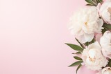 Fototapeta Tulipany - Flat lay of white peony flowers with copyspace on pink background