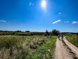 © rparys - Dirt road through a field in nice, sunny weather