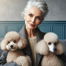 Portrait Of Stylish Smiling Charming Senior Female Woman With Grey Hair Sitting Holding Hugging Loving Two Cute Adorable Lovely Look Alike Twin Standard Poodle Dogs Puppies Animals In Arms Affection