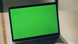 © stockbusters - Boss using green screen laptop in office. Business man working mockup computer
