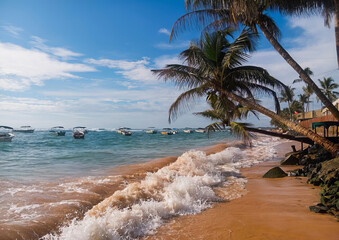 Wall Mural - Waves crashing on a beach on a sunny day in Sri Lanka