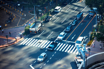 Poster - Shinjuku, Tokyo Japan, cityscape on a clear day