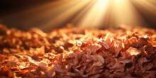 Rich Mahogany Wood Shavings Glow Under A Late Afternoon Sunbeam