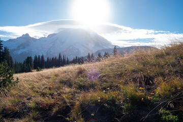 Wall Mural - Snowy mountains and reeds backlit